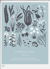 Nature - British Coast Plants In Blue